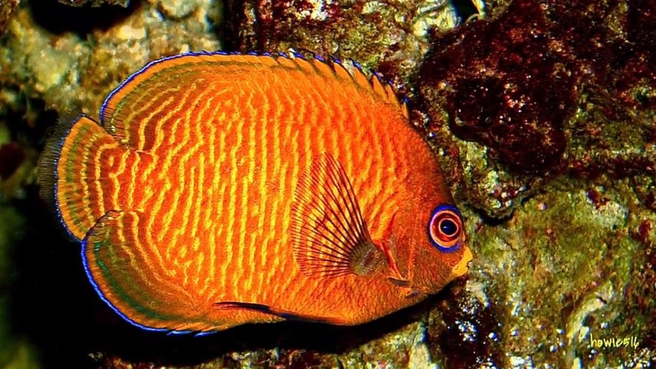 10 amazing and unheard facts about the world _ Amazing Facts About The World You Didn't Know