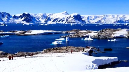 _अंटार्कटिका के नीचे छिपा जंगल_ बर्फ के नीचे की रहस्यमयी दुनिया_