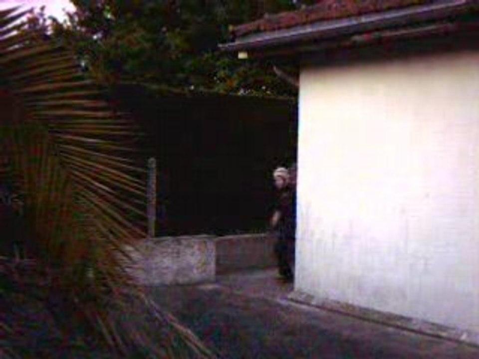 gigi découvre le rugby