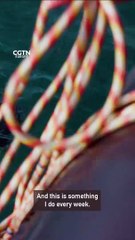 How to Catch Tiny Plankton: A Guide for Beginners 🐟