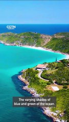 Understanding Plankton: Tiny but Vital 🌊