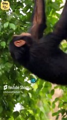 Want to be “Equal” to Men? || Acharya Prashant