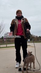 L’autre jour j’ai voulu peser mon chien