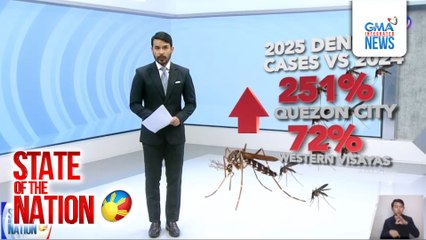 Sabay-sabay na paglilinis tuwing 4pm kontra-dengue, itinakda ng DOH  | SONA