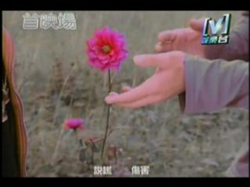 Angela Zhang - Bu xiang dong de ( Don't want to understand )