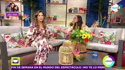 ¡Zona de bochin! Shakira, Marc Anthony en Viña, Valeria Rettally y más