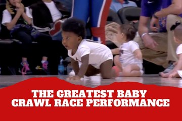 Usain Bolt speed! Pelicans young fan gives the greatest baby crawl race performance ever