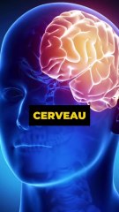 🤯 92% des gens ne respectent pas leurs objectifs de bonnes résolutions (productivité) 🧠💥 #productivité