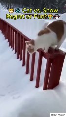 🐱❄️ Cat vs. Snow – The Funniest Winter Adventure! 😂☃️#funnycats  #winteradventures  #hilariouspets
