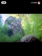 Hollowood Romantic action clips