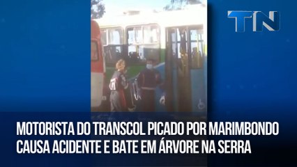 Motorista do Transcol picado por marimbondo causa acidente e bate em árvore na Serra