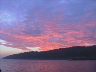 Vos plus belles prises_0001