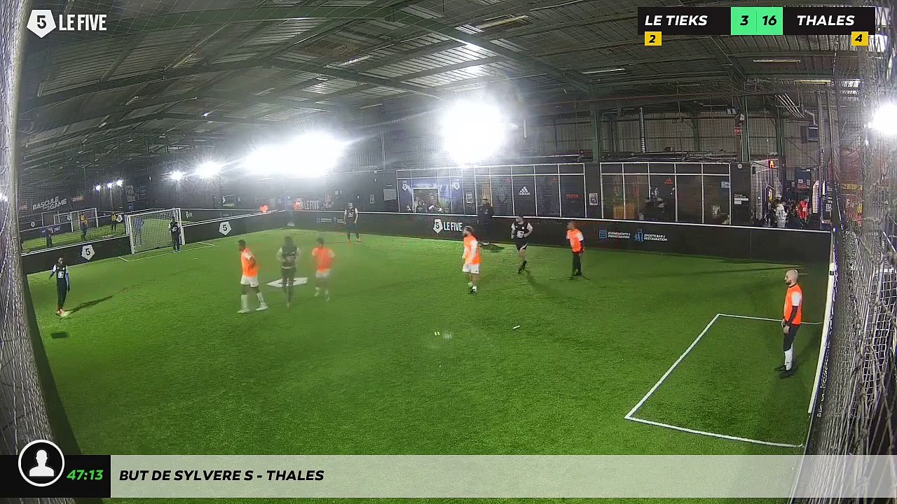 But de Sylvere S - Thales