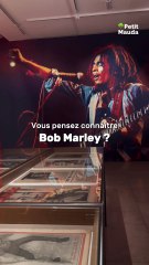 📸✨ Découvrez l'univers de Dennis Morris ! 🎶