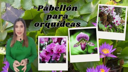 El Jardín Botánico Nacional, un oasis de tranquilidad en medio de la ciudad