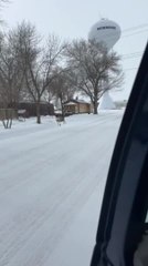 Deer Casually Hops Down Snow-Covered Street
