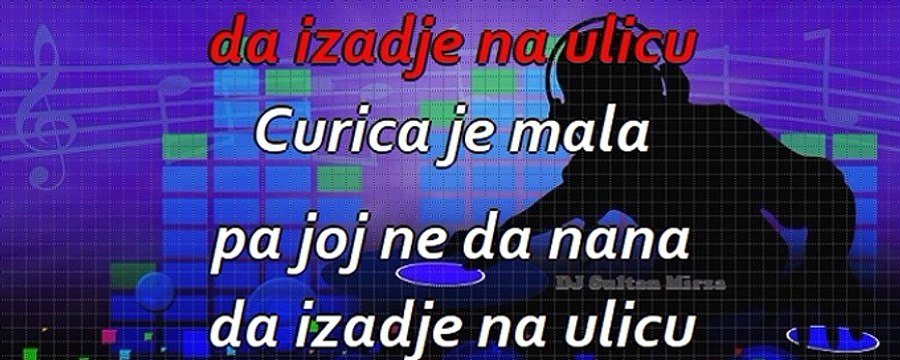 Čiča peče rakiju - Predrag Živković Tozovac (uživo karaoke)