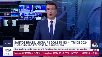 Setor portuário registra alto lucro em 2024; diretor econômico-financeiro da Santos Brasil comenta