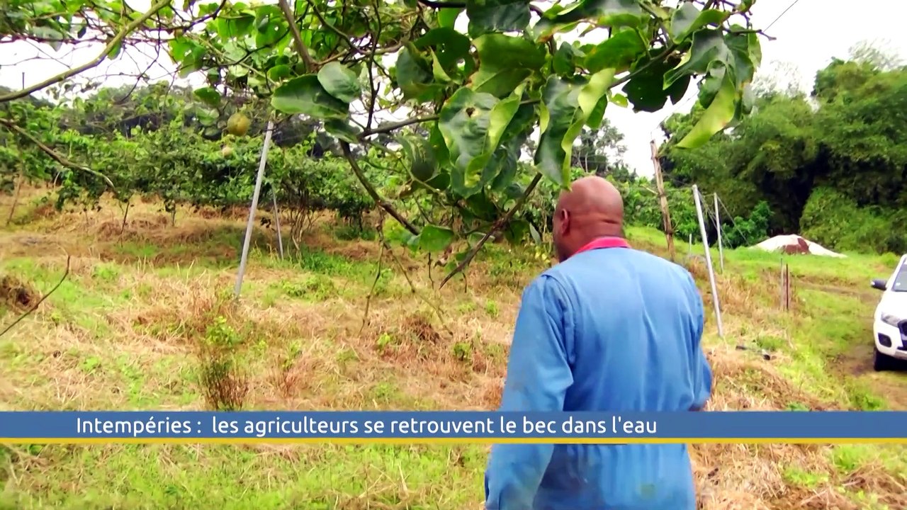 Le Grand J.T. des Territoires du 1er mars 2025