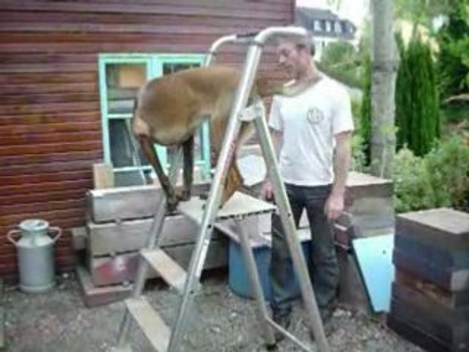 Brennig et papa