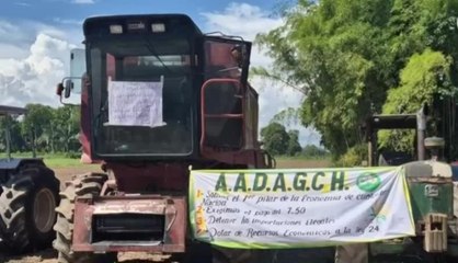Arroceros del distrito de Barú protestaron en la vía hacia Paso Canoa