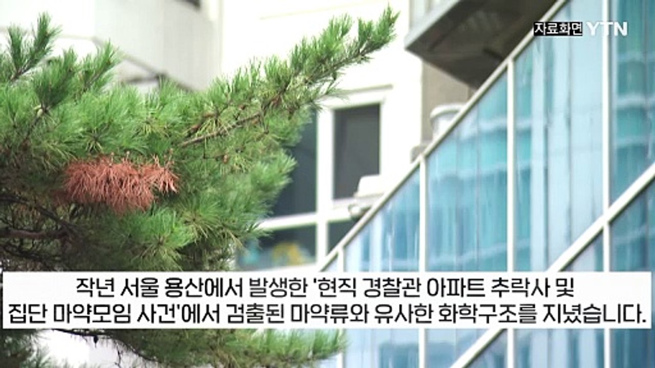 전 세계 최초로 '신종 마약류' 발견하자마자...강력한 경고 날린 국과수 [지금이뉴스...