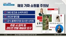 “유명 브랜드 패딩 90% 할인”…해외 가짜 쇼핑몰 주의보