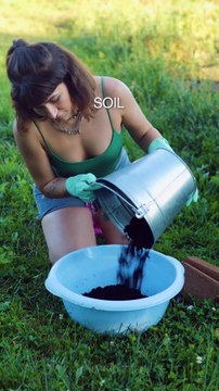 Berry-licious gardening! The simplest ways to grow fresh berries!