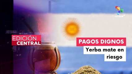 Riesgo de la producción de yerba mate en Argentina