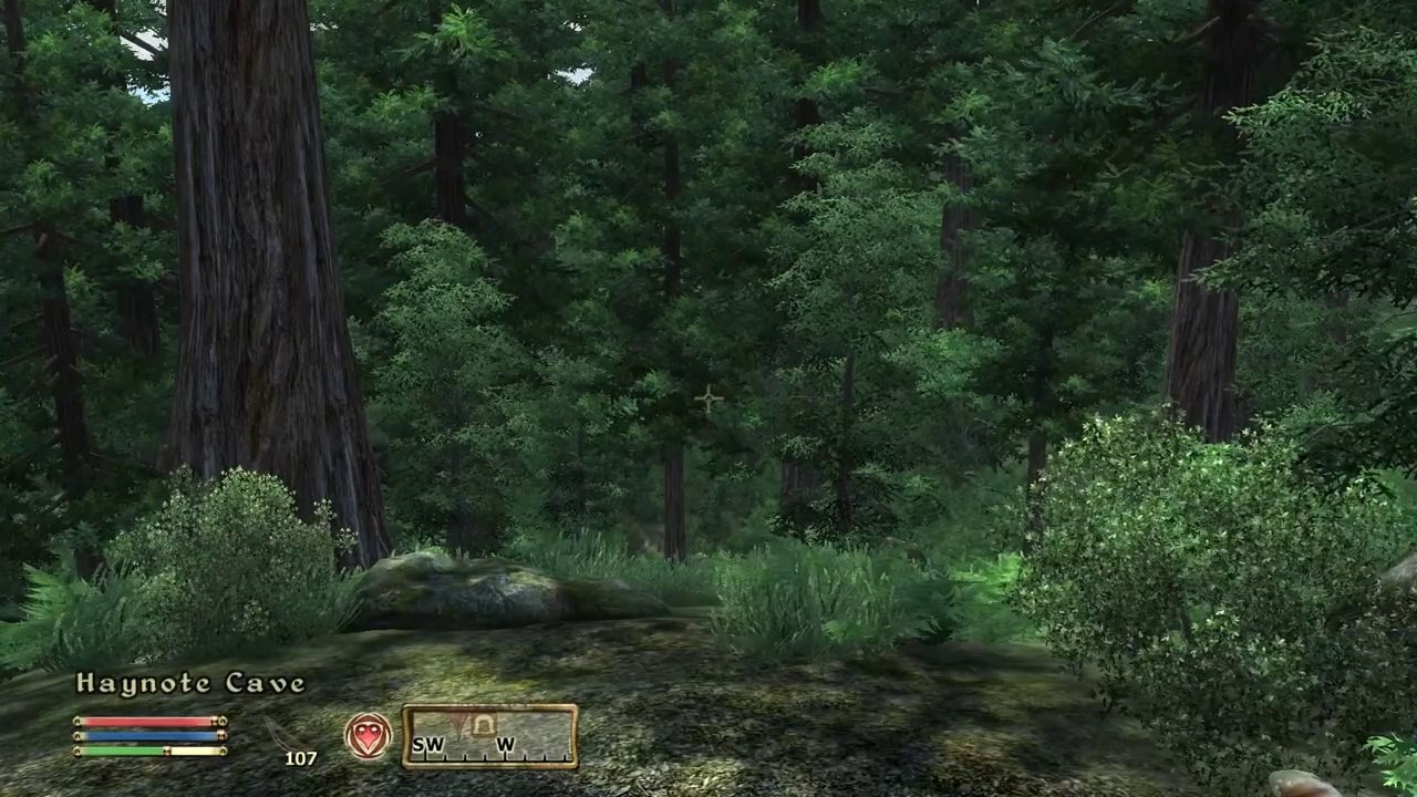 The Elder Scrolls IV: Oblivion - Part 9