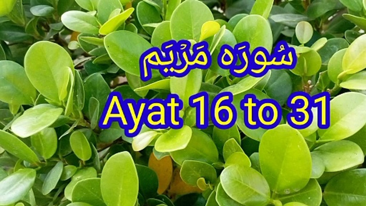 Surah Maryam  beautiful voice  quran tilawat  quran recitation
