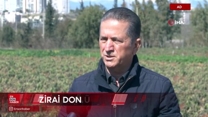 Adana'da 4 günlük zirai don, ürünleri etkiledi