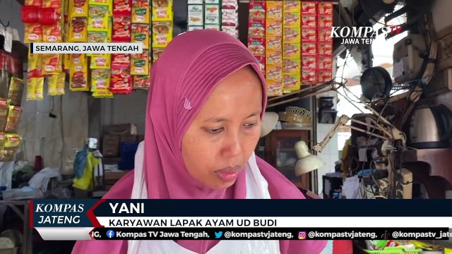 Harga Daging dan Telur Ayam Naik Jelang Ramadan