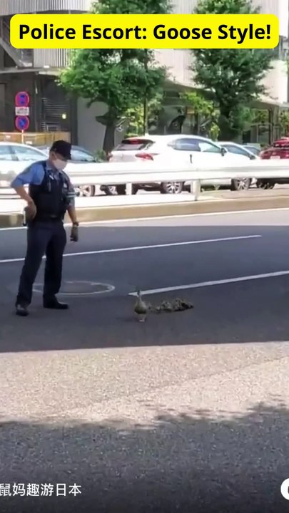Police Escort Goose Style