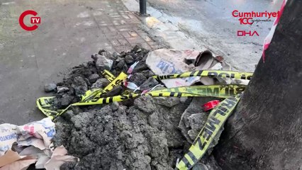 Beşiktaş'ta elektrik akımına kapılan 'Choko' nun durumu iyi; kaçak giderildi