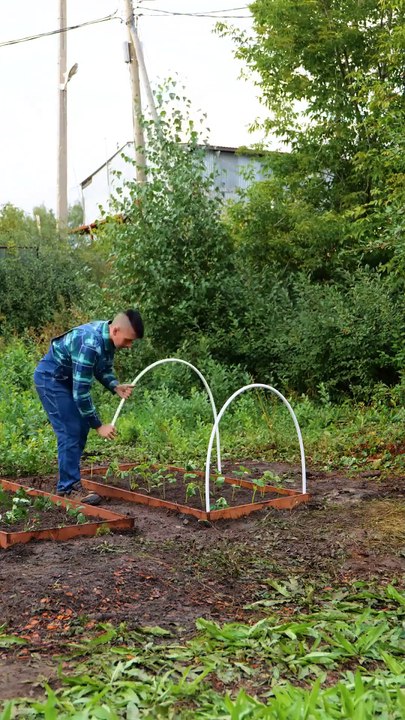 From waste to bloom! Smart plastic upcycling ideas for your garden!