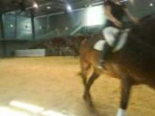 Chevaux de la foire comtoise (1)