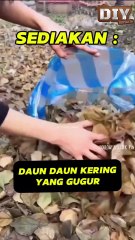 Cara buat tanah tanaman sendiri yang penuh dengan nutrisi