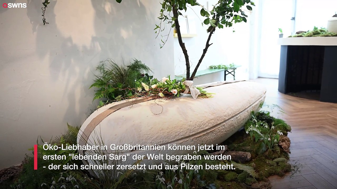 Bestattungsunternehmen bietet weltweit ersten "lebenden sarg" an - aus pilzen hergestellt