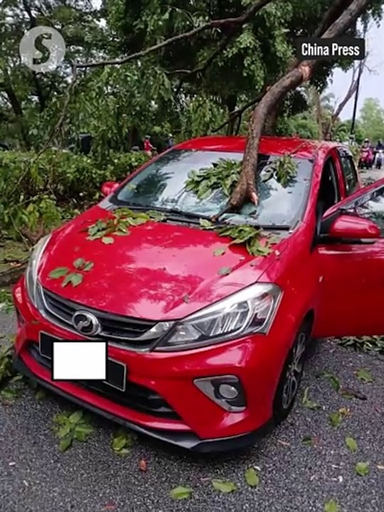 Man dies after tree crushes car in Klang, teen girl escapes unharmed
