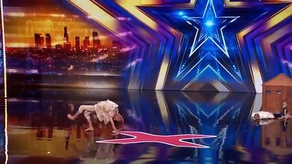 BEST Auditions from America's Got Talent 2024 So Far!