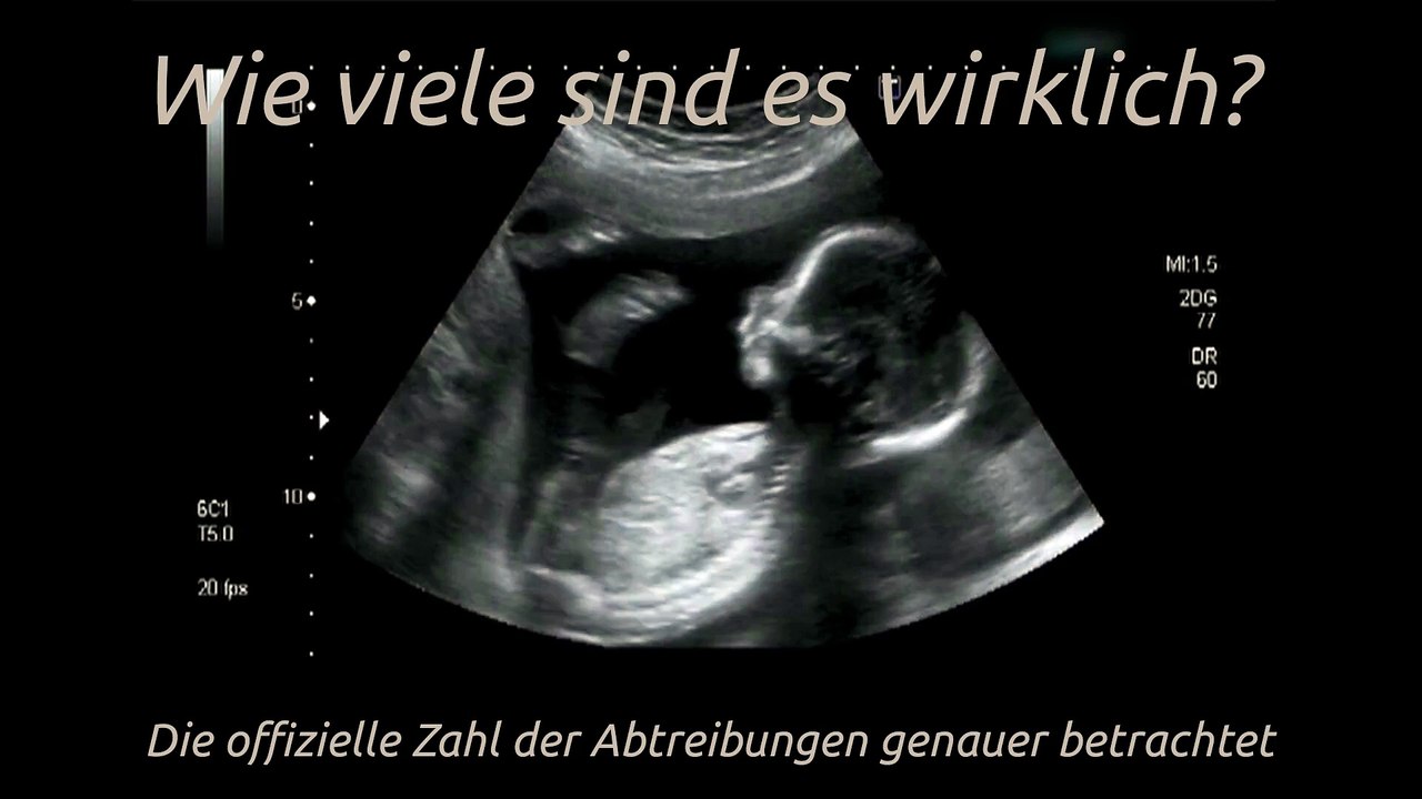 Wie viele sind es wirklich? - Die offizielle Zahl der Abtreibungen genauer betrachtet
