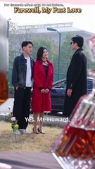 Farewell, My Past Love