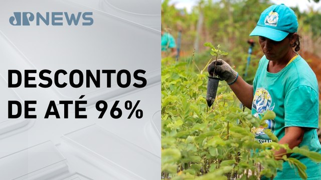 Programa Desenrola Rural: Agricultor familiar já pode renegociar dívidas