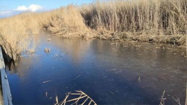 Sultan Sazlığı Milli Parkı buz tuttu