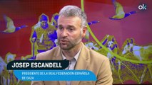 Entrevista Josep Escandell, presidente de la Real Federación Española de Caza