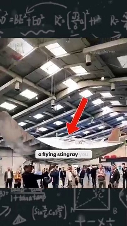 Unbelievable! A Flying Stingray Created for a Movie Stuns Audiences!