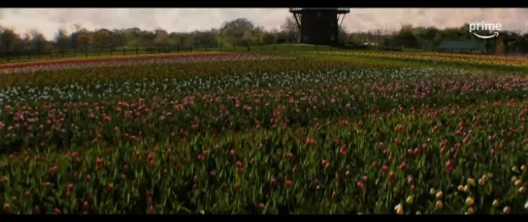 Holland Trailer OV
