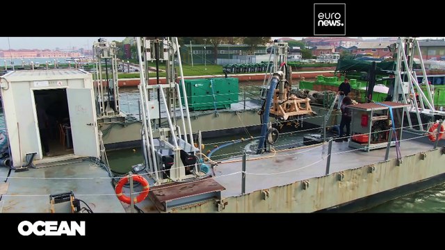 Robots y barreras de burbujas: Venecia y Portugal luchan contra el plástico oceánico