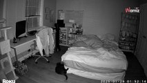 Woman woken suddenly at 2 am: Camera reveals the culprit's surprising identity